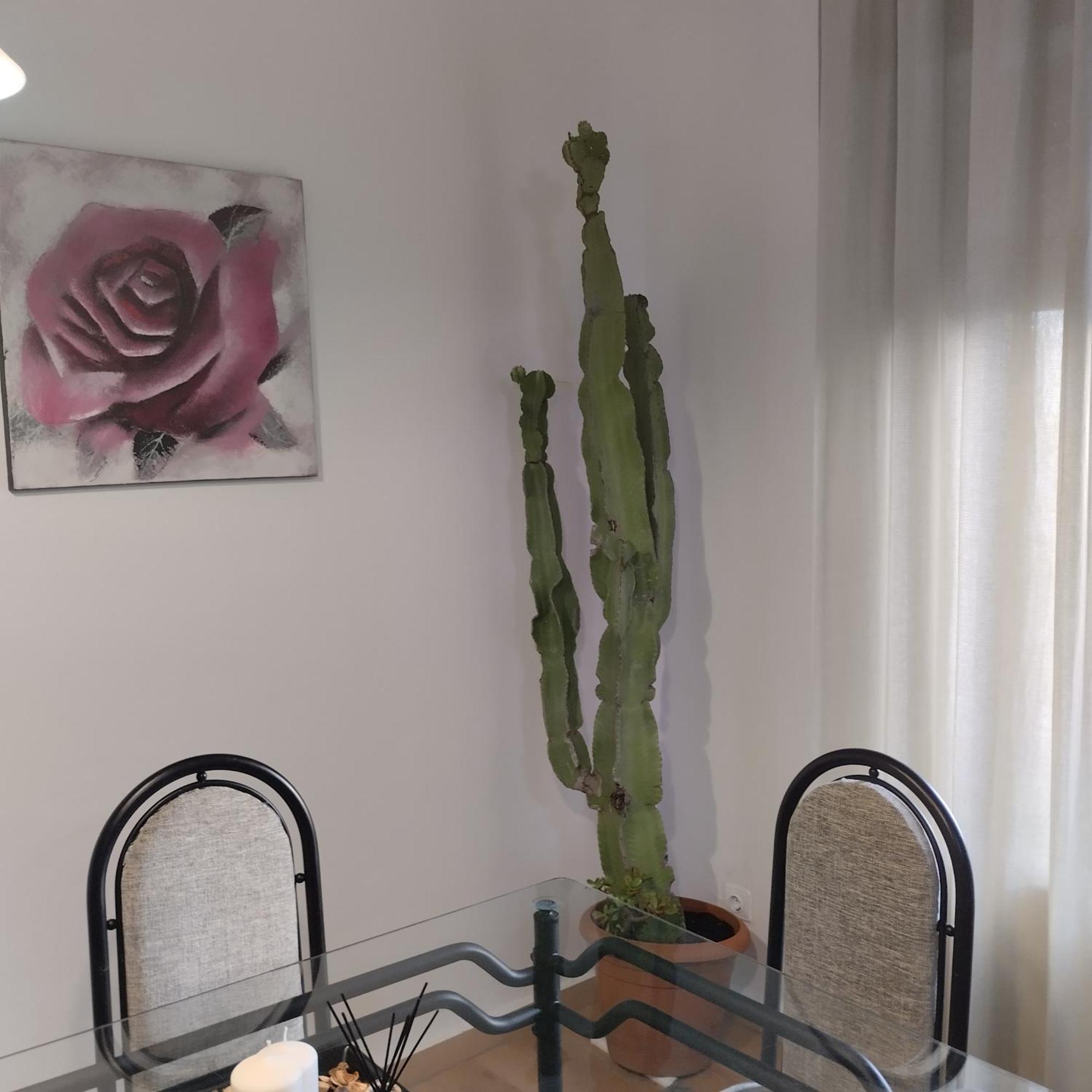 Apartamento Esperanza De La Yedra Херес-де-ла-Фронтера Экстерьер фото